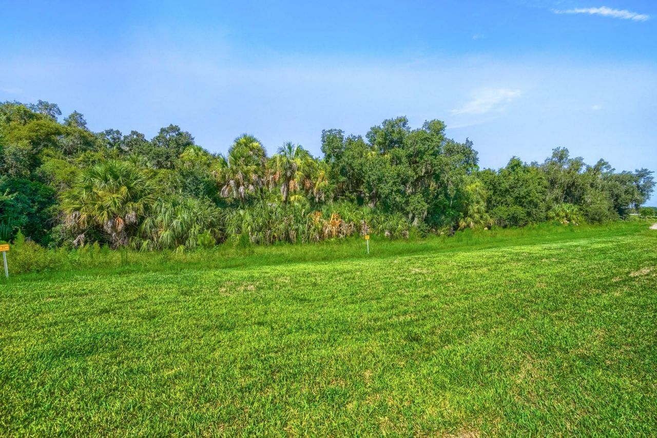 7705 Satterfield Terrace, Parrish, FL 34219 Photo