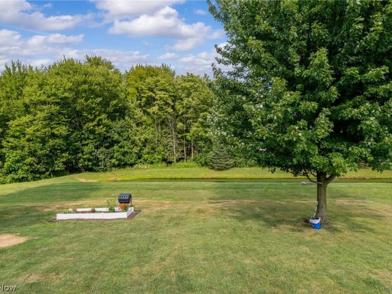 7903 Wildel Drive, Twinsburg, OH 44087 Photo 48