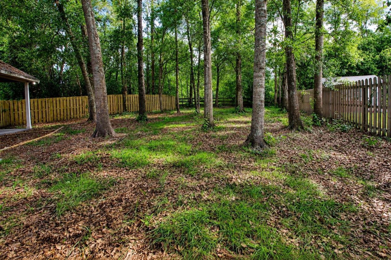 11444 NW 18th Lane, Gainesville, FL 32606 Photo
