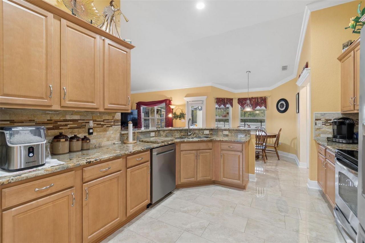 3119 Blackwater Oaks Way, Mulberry, FL 33860 Photo