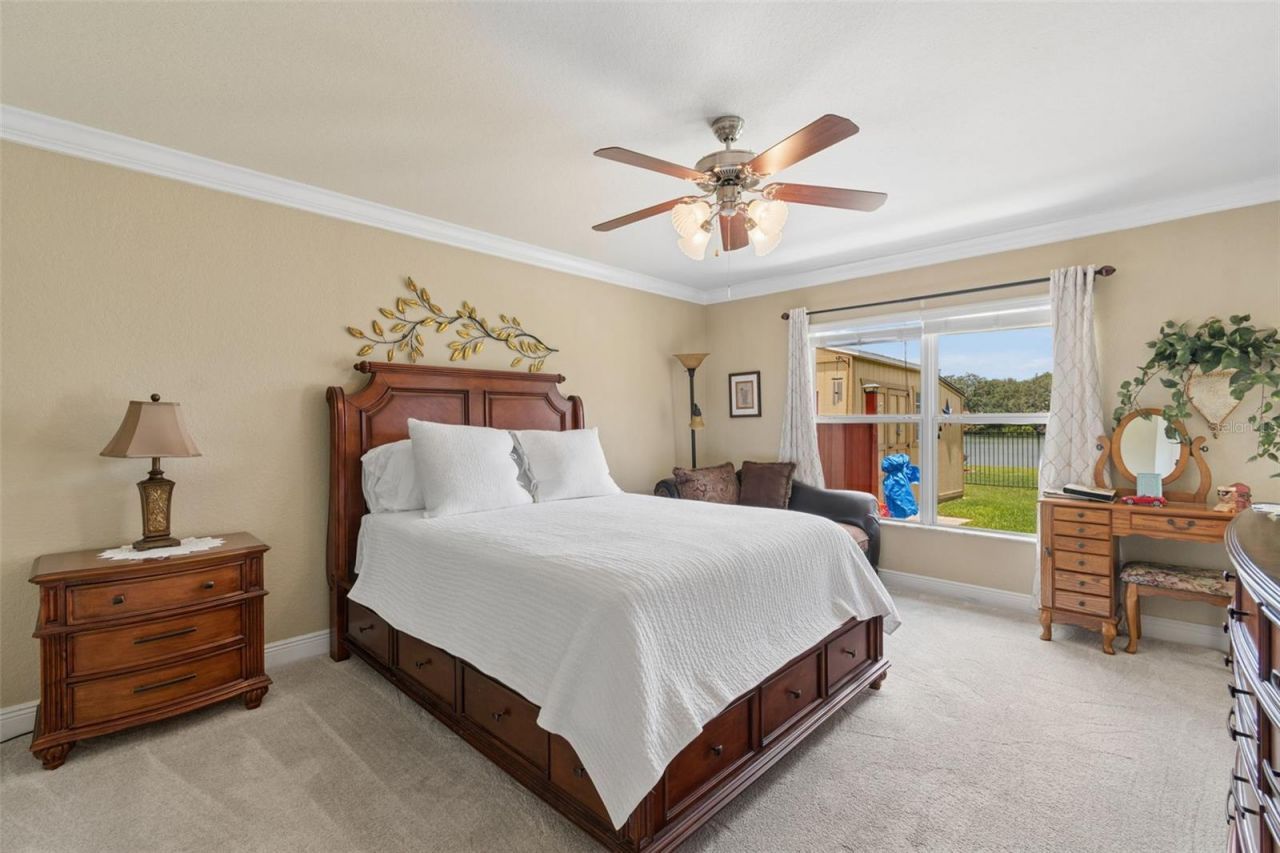 3119 Blackwater Oaks Way, Mulberry, FL 33860 Photo