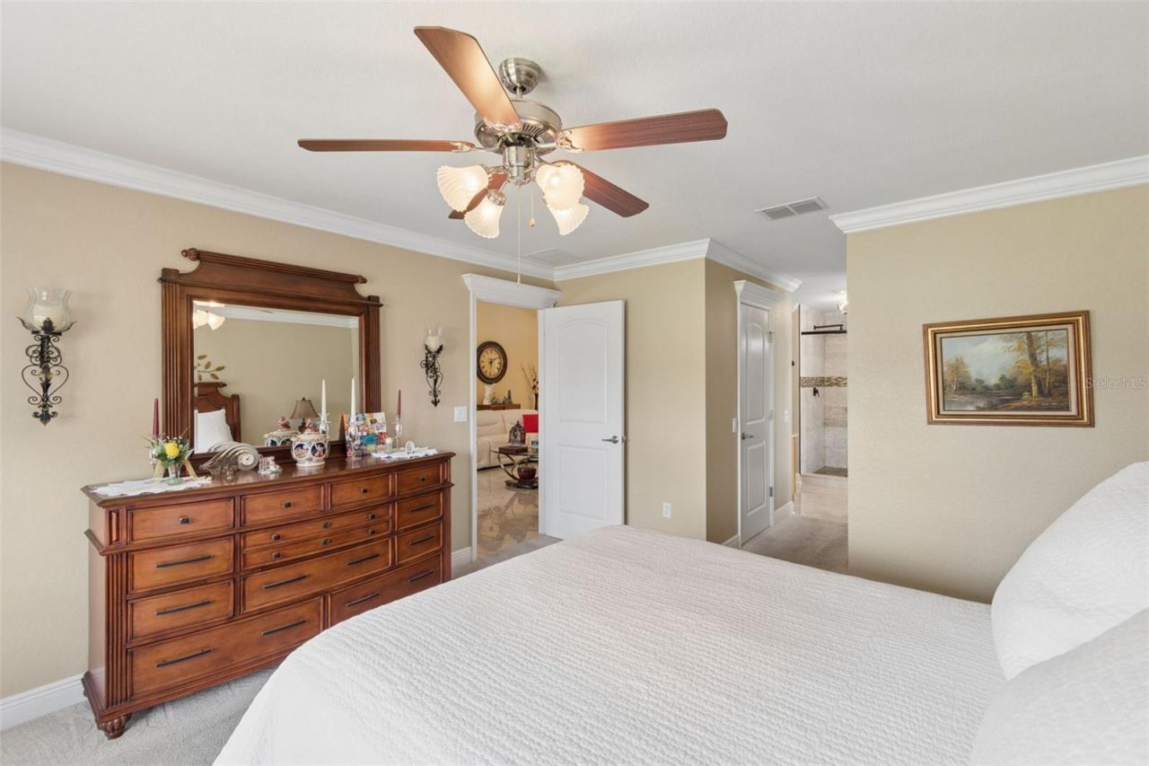 3119 Blackwater Oaks Way, Mulberry, FL 33860 Photo