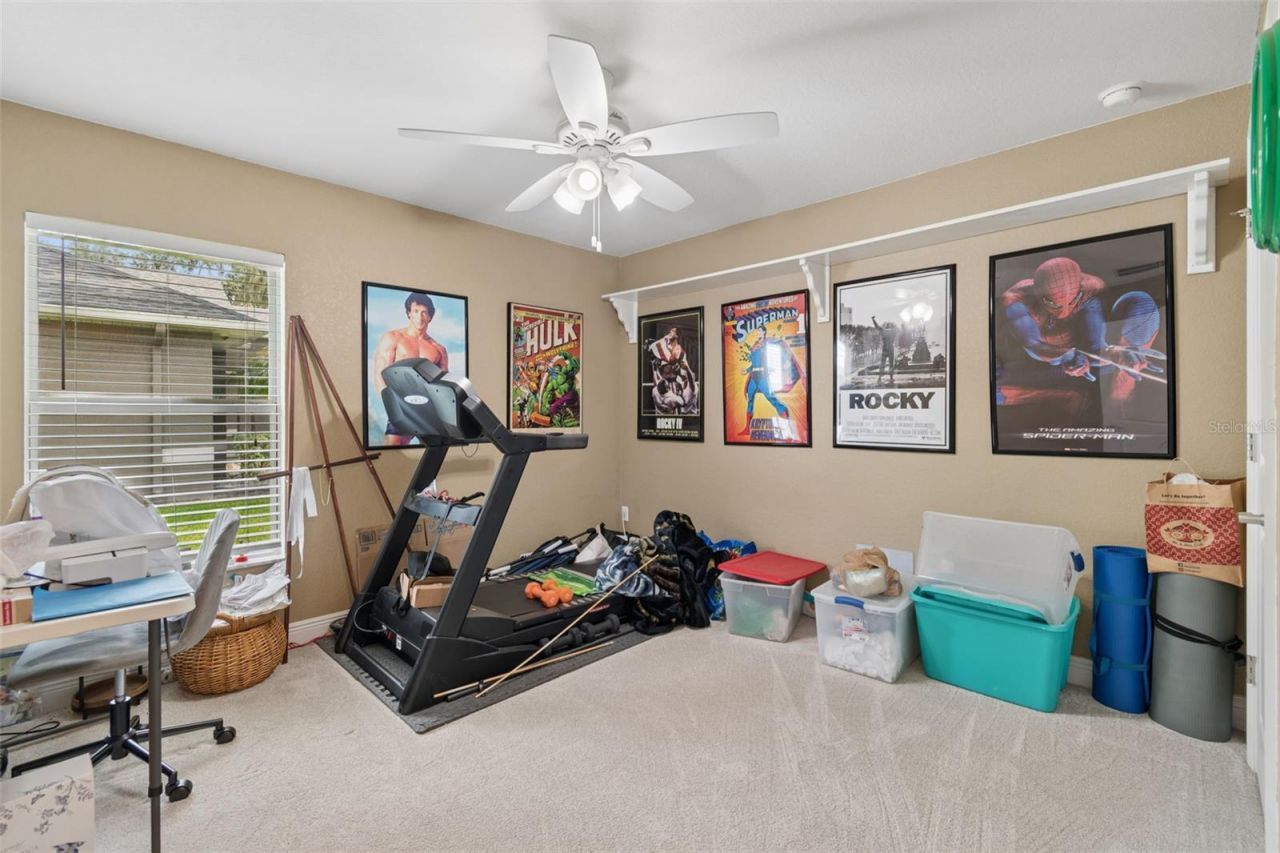 3119 Blackwater Oaks Way, Mulberry, FL 33860 Photo
