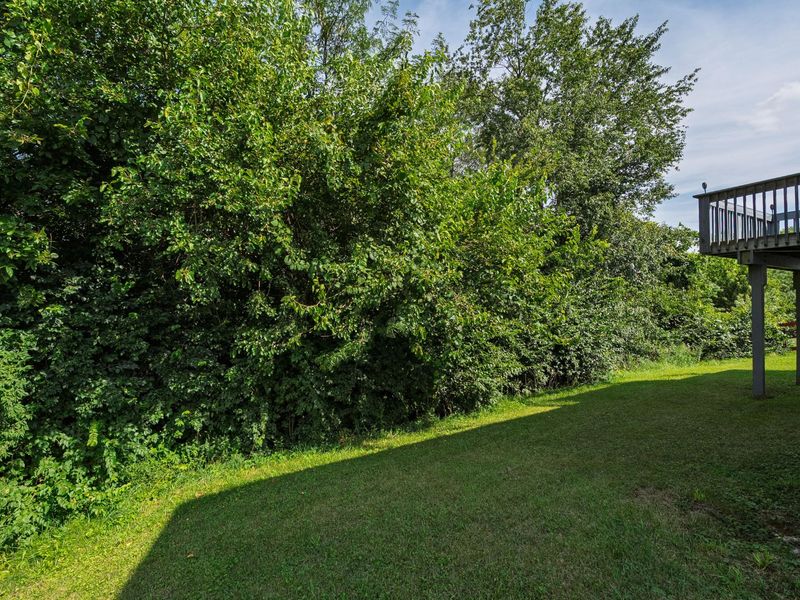 10283 Calvary Road, Independence, KY 41051 Photo 3