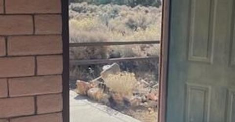 1580 Sunrise Pass Road, Minden, NV 89423 Photo