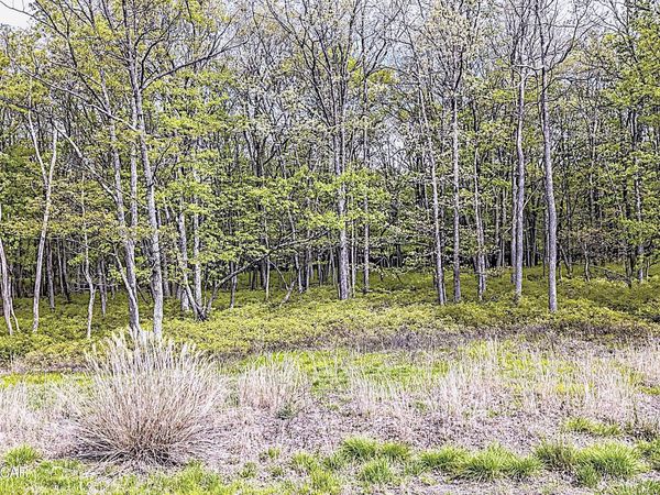 ERII 013 Glen Eagles Drive, Hazle Twp, PA 18202