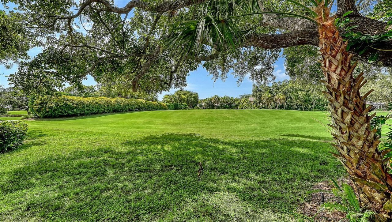 916 Macewen Drive, Osprey, FL 34229 Photo