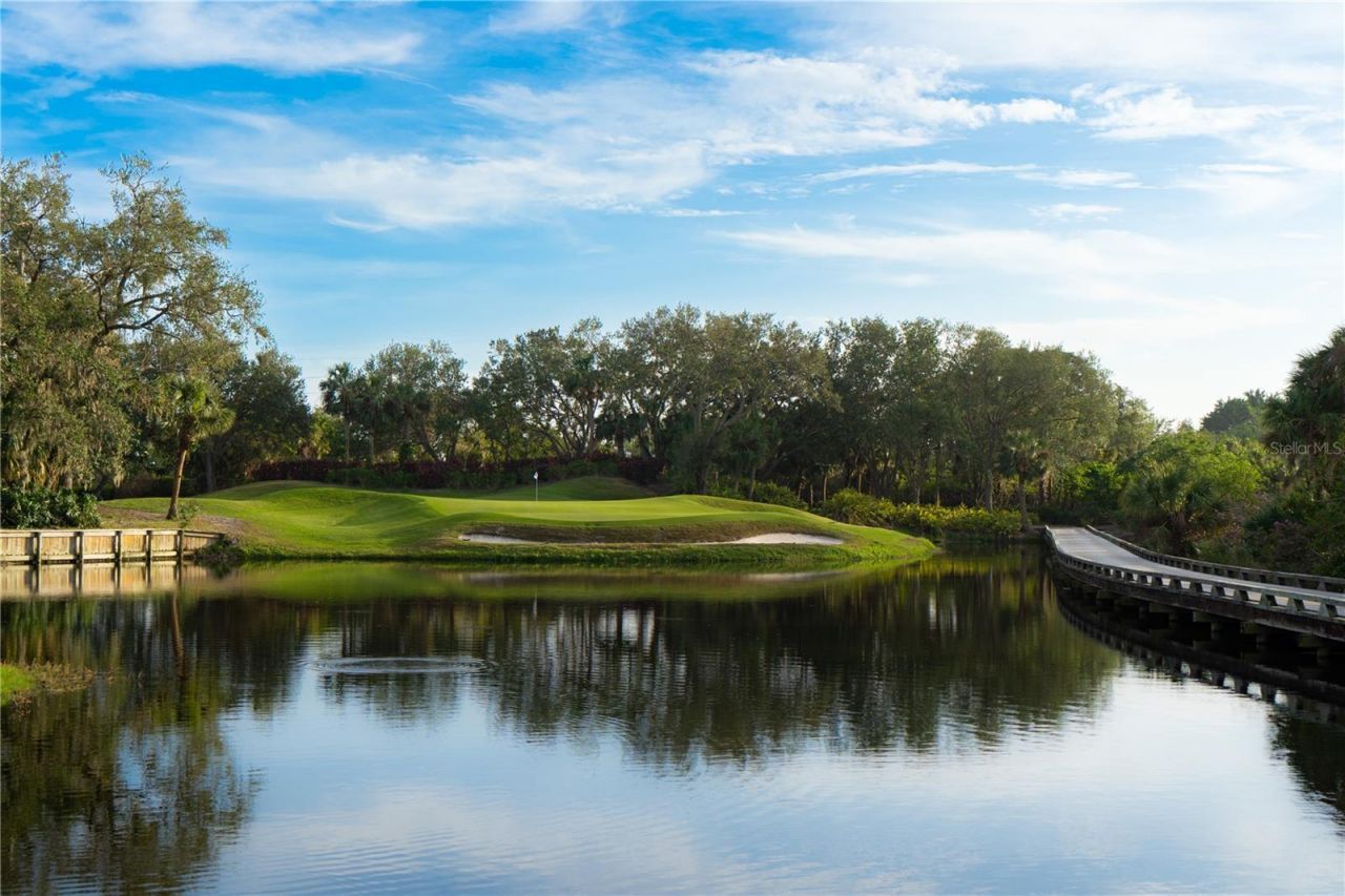916 Macewen Drive, Osprey, FL 34229 Photo