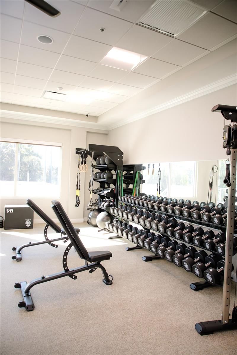 916 Macewen Drive, Osprey, FL 34229 Photo