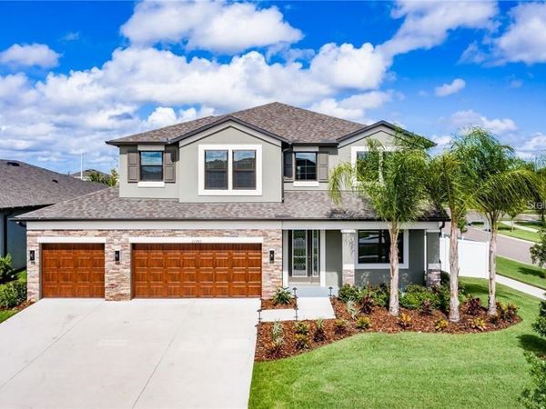 11301 ALACHUA CREEK LANE, RIVERVIEW, FL 33579