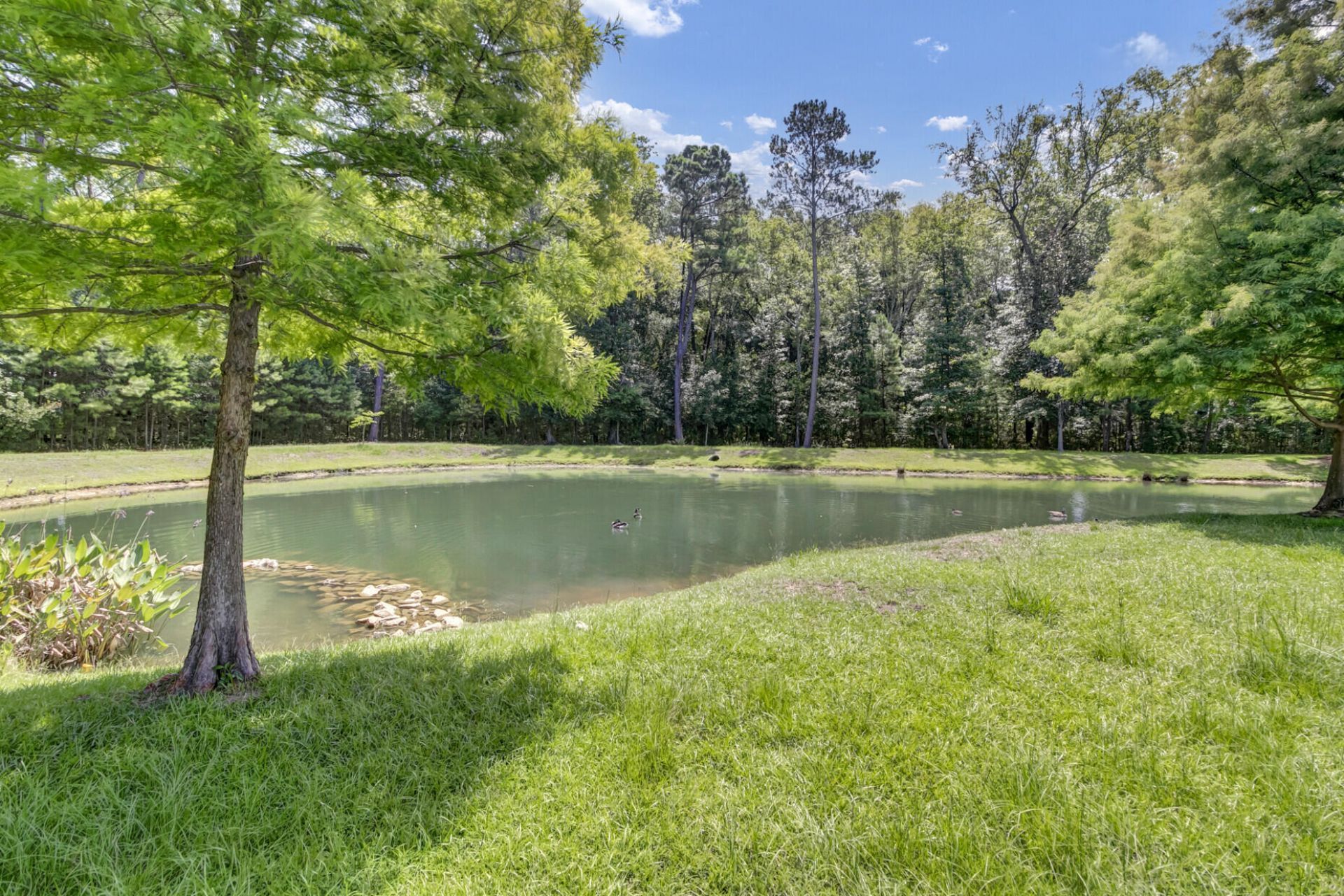 1492 Roustabout Way Photo 43