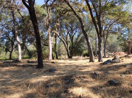 10511 Rough And Ready Rd, Rough and Ready, CA 95975 Photo