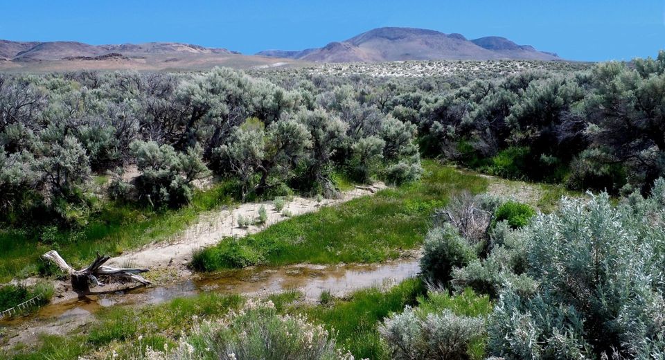0 Unspecified, Gerlach, NV 89412 Photo