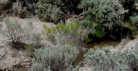 0 Unspecified, Gerlach, NV 89412 Photo