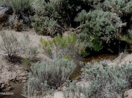 0 Unspecified, Gerlach, NV 89412 Photo