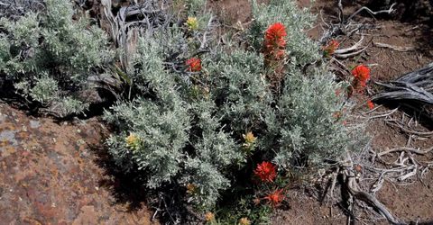 0 Unspecified, Gerlach, NV 89412 Photo