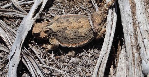 0 Unspecified, Gerlach, NV 89412 Photo