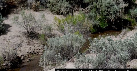 0 Unspecified, Gerlach, NV 89412 Photo