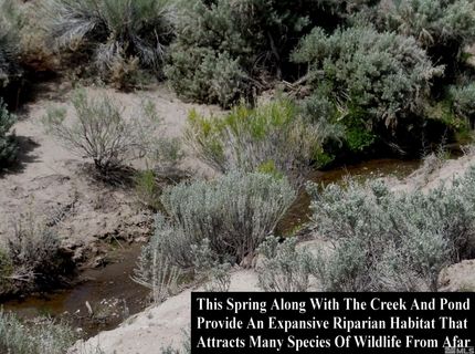 0 Unspecified, Gerlach, NV 89412 Photo