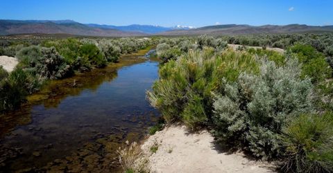 0 Unspecified, Gerlach, NV 89412 Photo