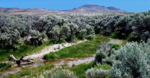Apn 066-090-23, Gerlach, NV 89412 Photo