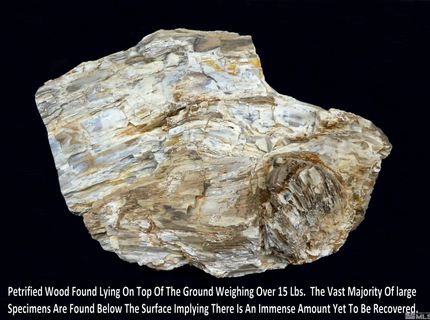 0 Unspecified, Gerlach, NV 89412 Photo