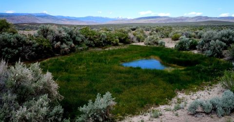 0 Unspecified, Gerlach, NV 89412 Photo