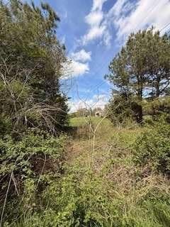 390 Fields Road, Cedartown, GA 30125 Main Photo