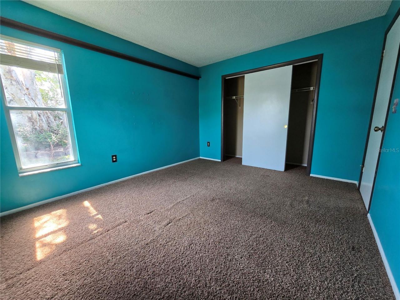 9836 Morehead Lane, Port Richey, FL 34668 Photo