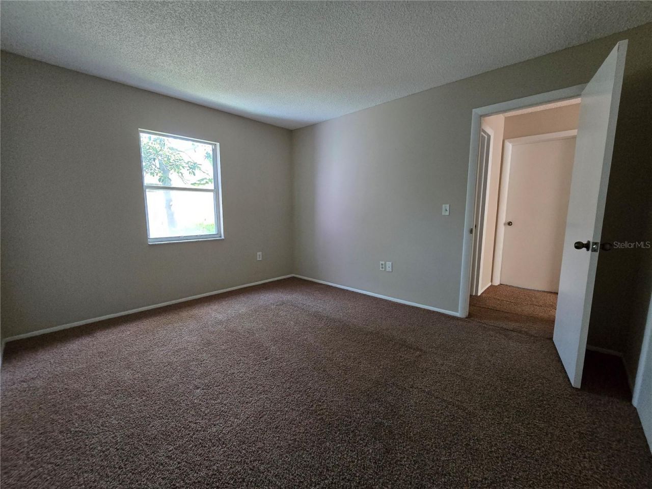 9836 Morehead Lane, Port Richey, FL 34668 Photo