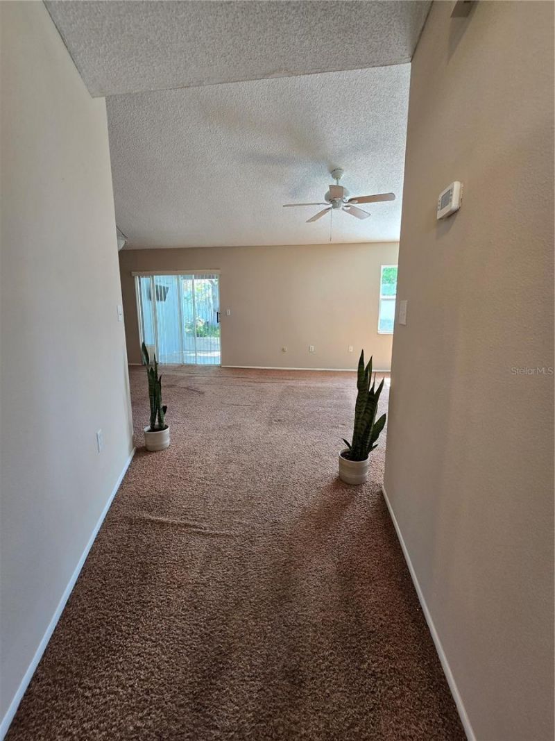 9836 Morehead Lane, Port Richey, FL 34668 Photo