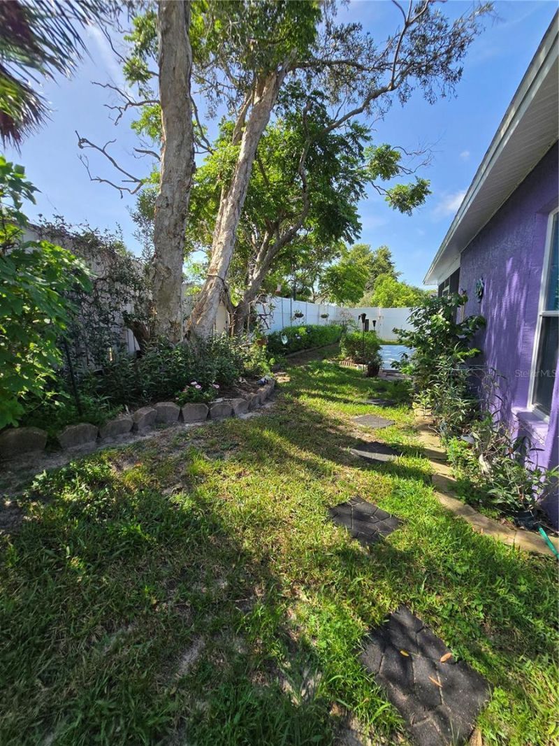 9836 Morehead Lane, Port Richey, FL 34668 Photo