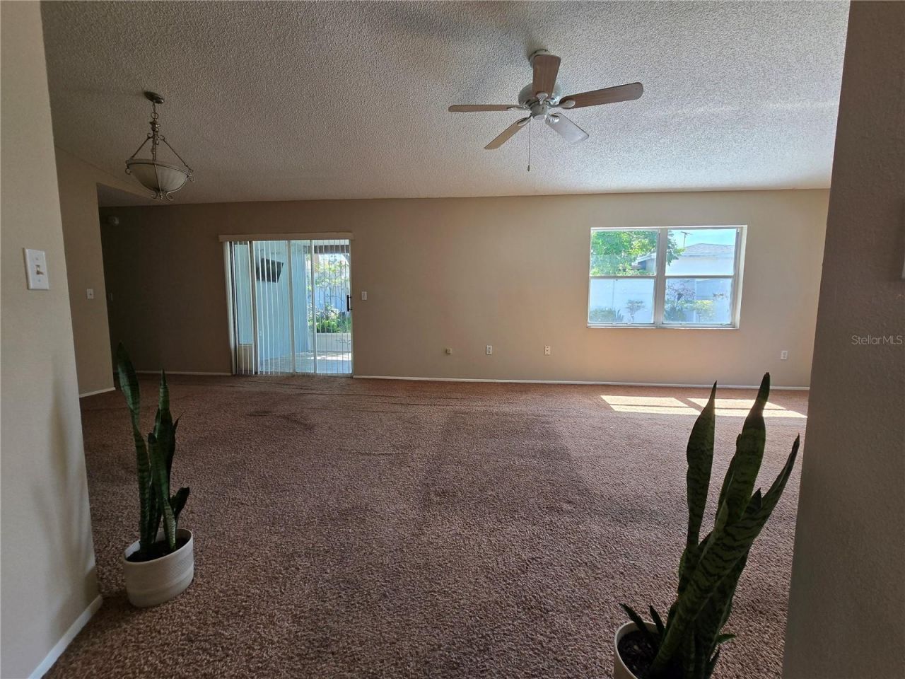 9836 Morehead Lane, Port Richey, FL 34668 Photo
