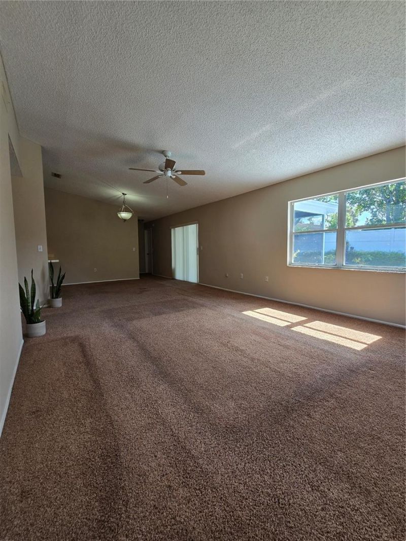 9836 Morehead Lane, Port Richey, FL 34668 Photo
