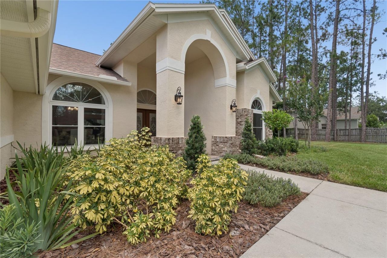 18811 Victor Manuel Drive, Lutz, FL 33548 Photo