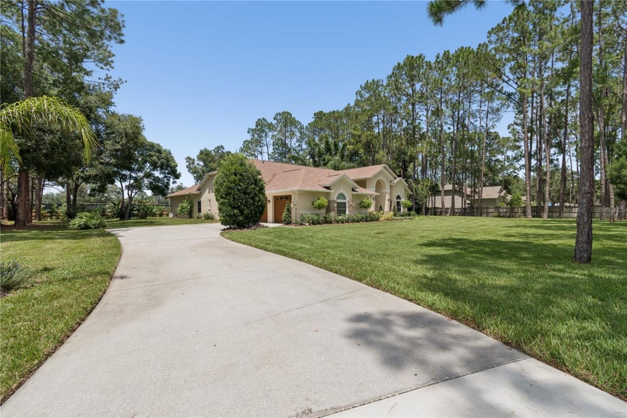 18811 Victor Manuel Drive, Lutz, FL 33548 Photo