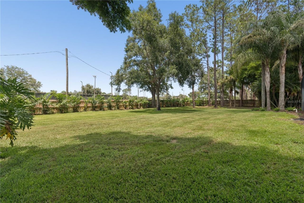 18811 Victor Manuel Drive, Lutz, FL 33548 Photo