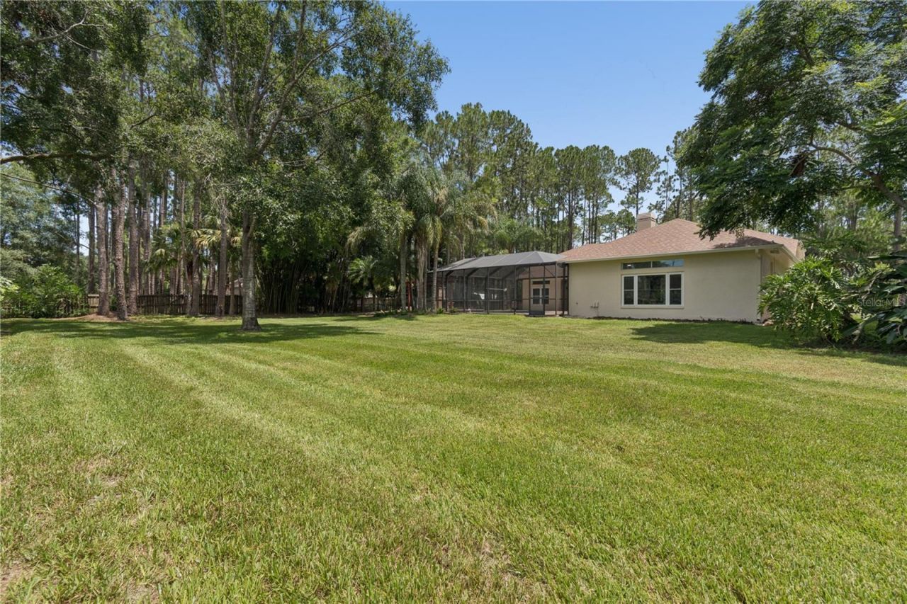 18811 Victor Manuel Drive, Lutz, FL 33548 Photo