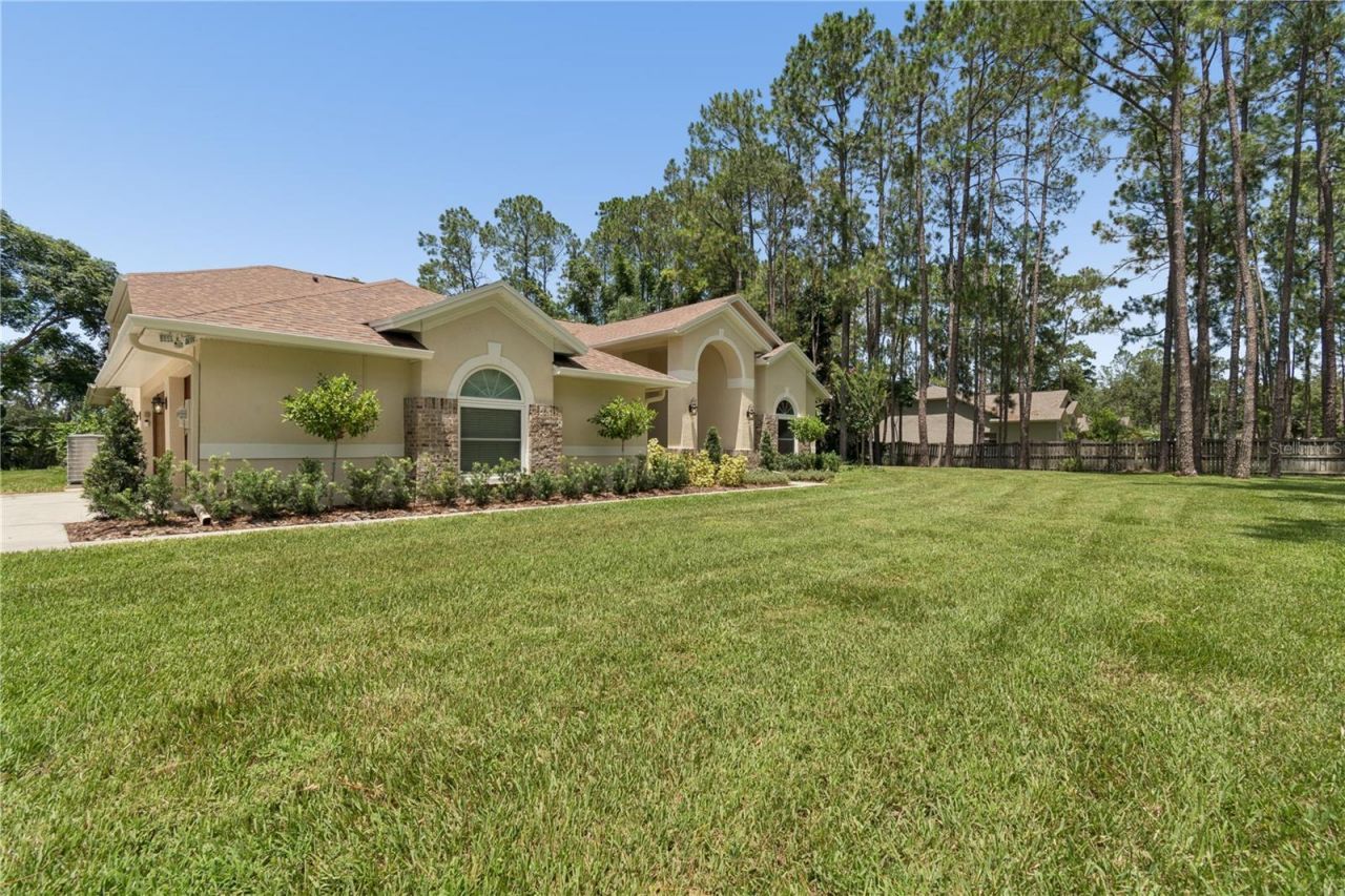 18811 Victor Manuel Drive, Lutz, FL 33548 Photo