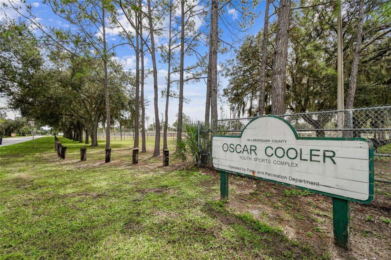 18811 Victor Manuel Drive, Lutz, FL 33548 Photo