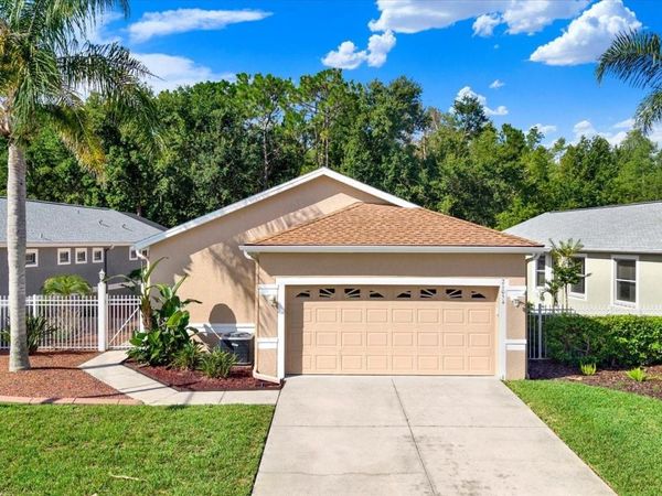 21054 DIAMONTE DR , LAND O LAKES, FL 34637