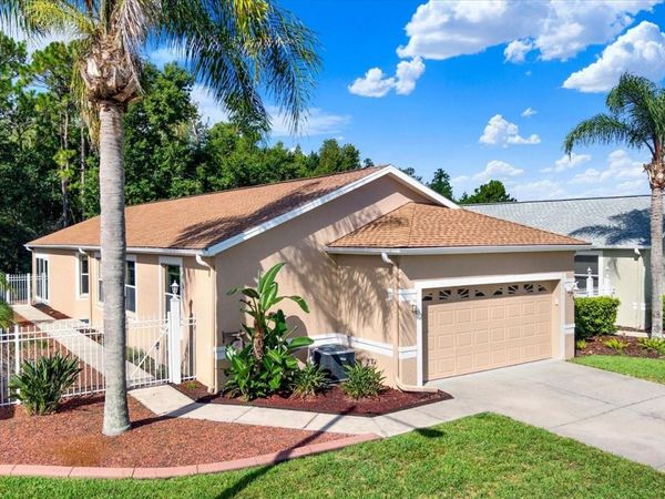 21054 DIAMONTE DR , LAND O LAKES, FL 34637