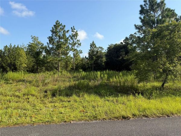 35TH STREET , MORRISTON, FL 32668