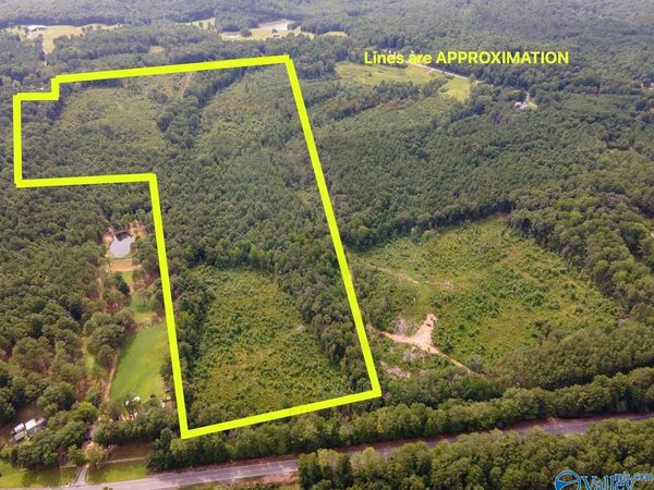 56 Acres Highway 13, Lynn, AL 35575