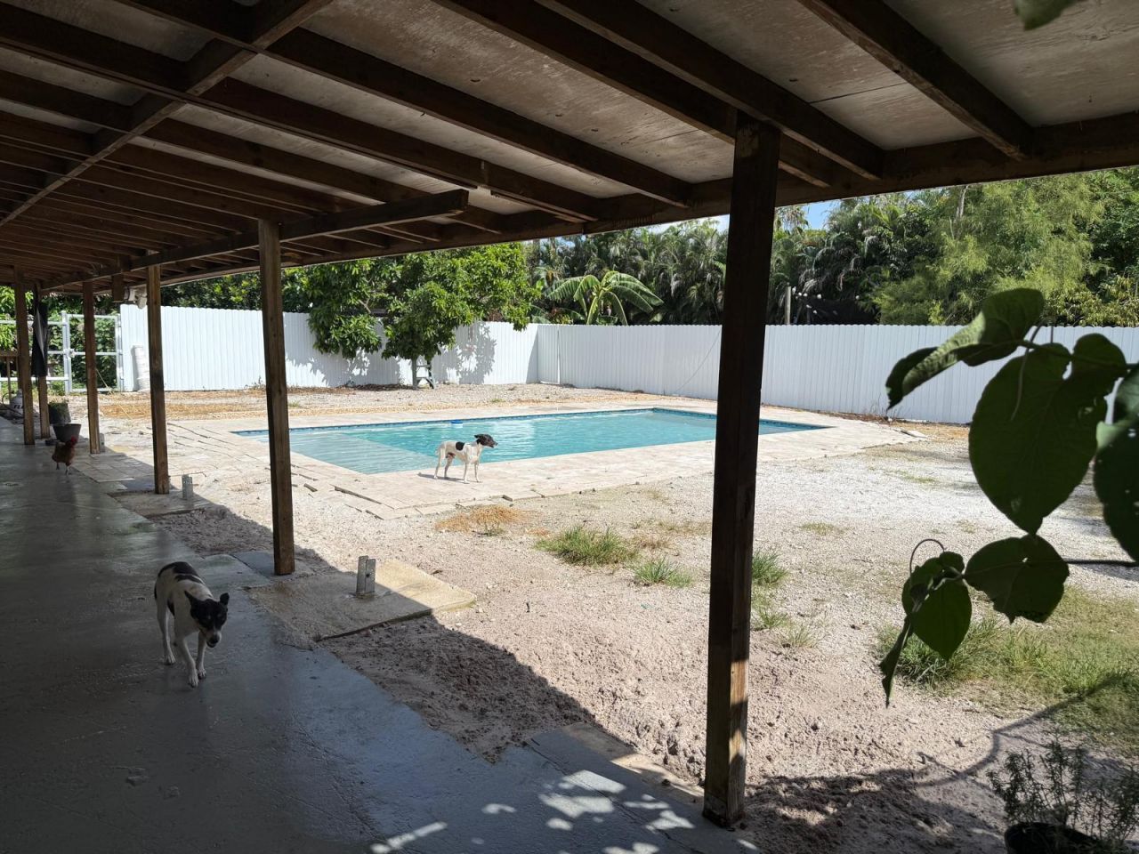 16393 E Lancashire Drive E, The Acreage, FL 33470 Photo