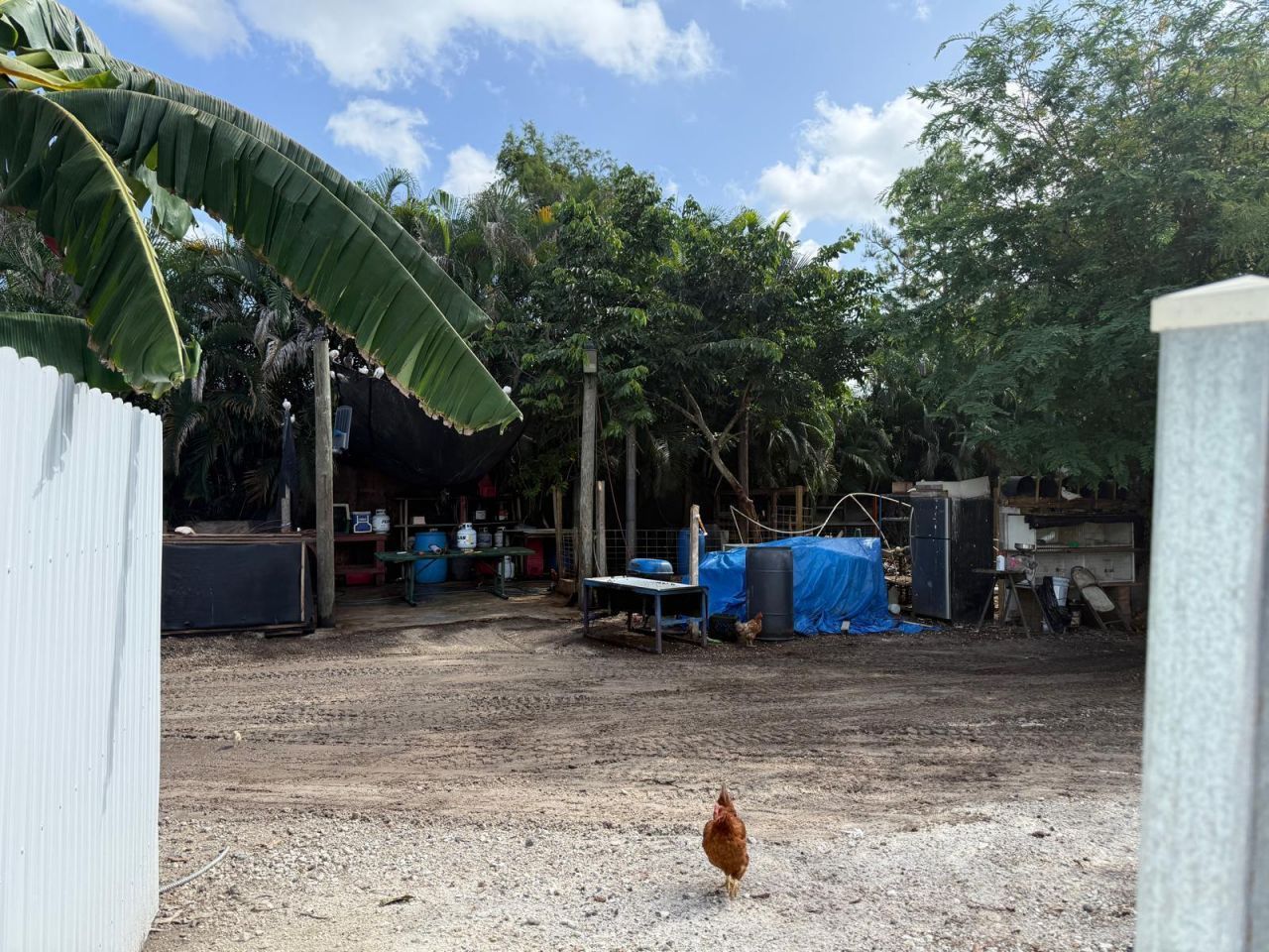 16393 E Lancashire Drive E, The Acreage, FL 33470 Photo