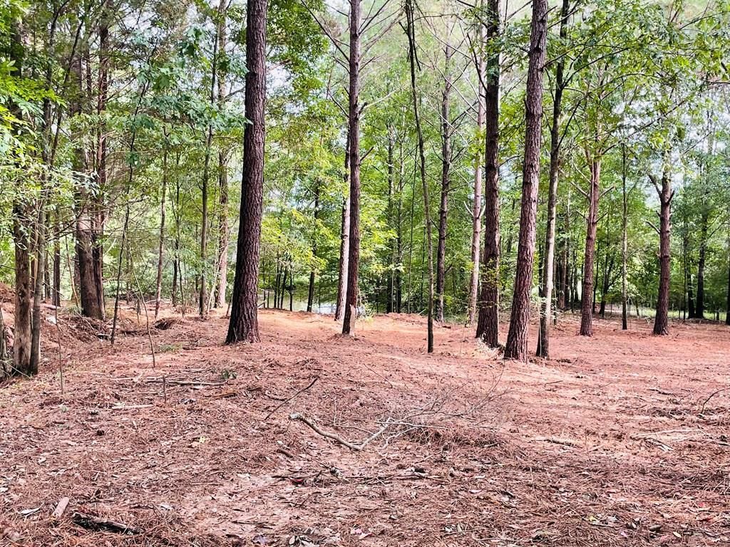 Tbd Cr 313, Oxford, MS 38655 Main Photo