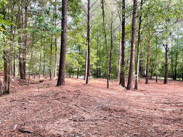 TBD Cr 313, Oxford, MS 38655
