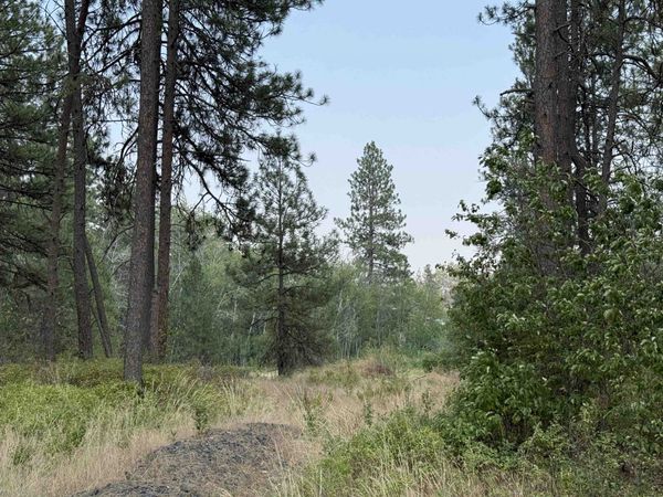 5.11 AC W Malloy Prairie Rd, Cheney, WA 99004