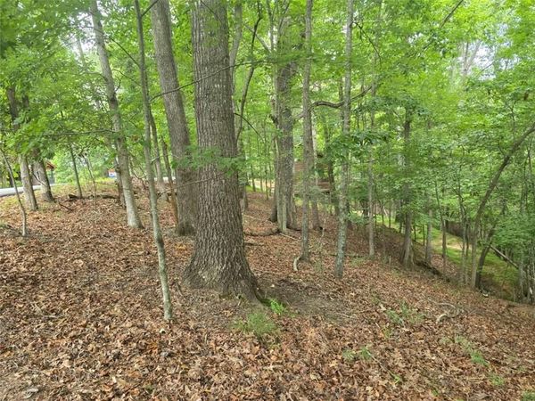 Lot476 Riverview Drive , Ellijay, GA 30540